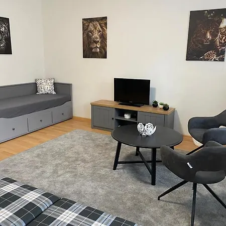 černý Tulipán - 1 Plzeň