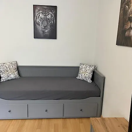 černý Tulipán - 1 *