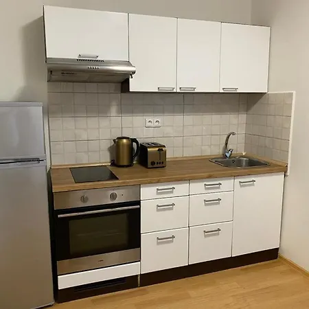 Cerny Tulipan - 1 Pilzno