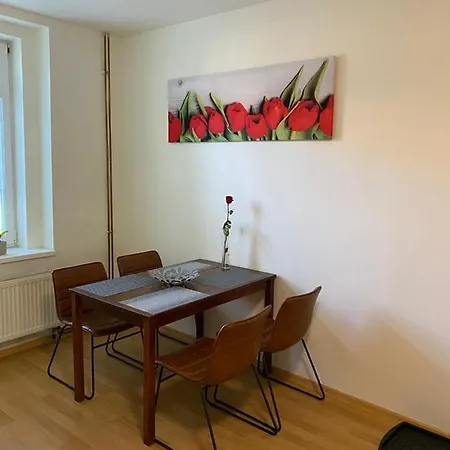 černý Tulipán - 1 Plzeň