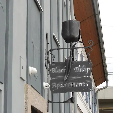 černý Tulipán - 1 *