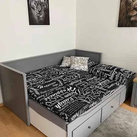 černý Tulipán - 1 * Plzeň