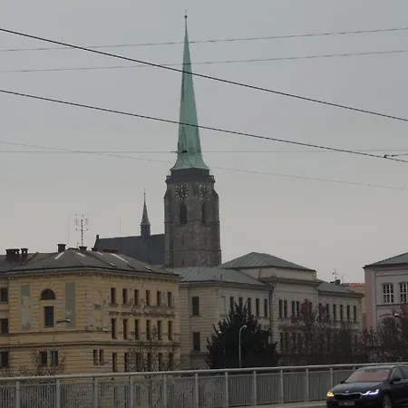 Apartmán černý Tulipán - 1 Plzeň