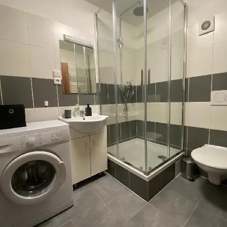 černý Tulipán - 1 * Plzeň