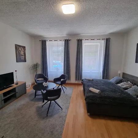 černý Tulipán - 1 Plzeň