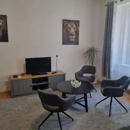 černý Tulipán - 1