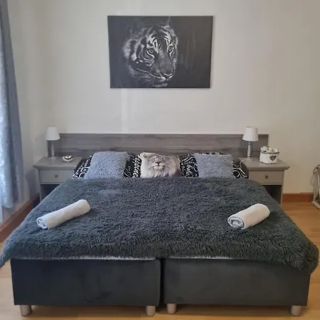 Apartmán černý Tulipán - 1 *