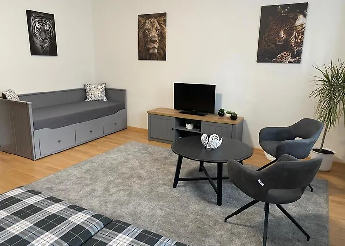 černý Tulipán - 1 Plzeň