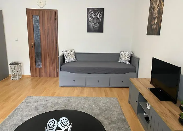 černý Tulipán - 1 * Plzeň