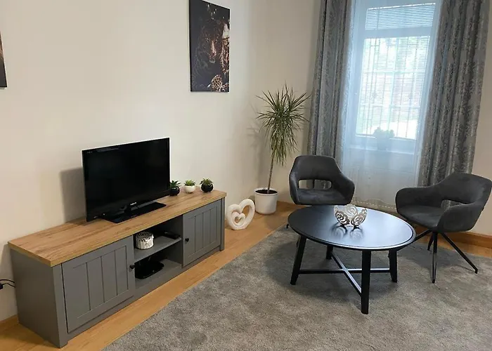 Apartmán černý Tulipán - 1 Plzeň