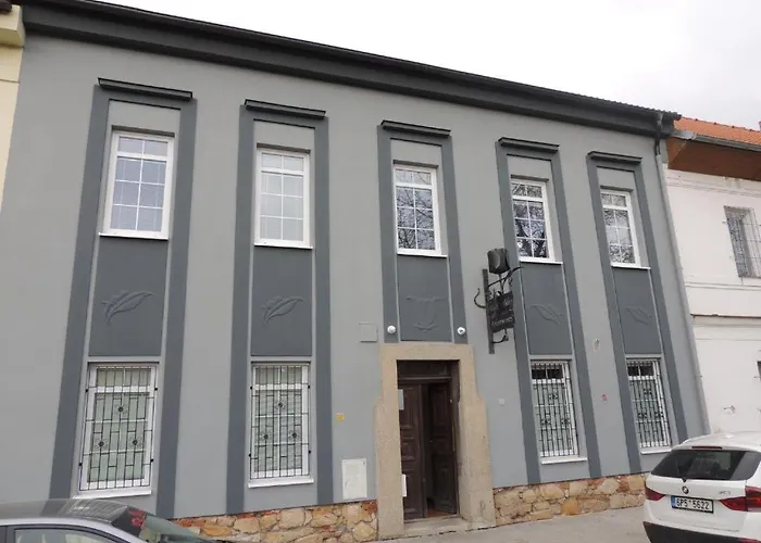 Apartmán černý Tulipán - 1