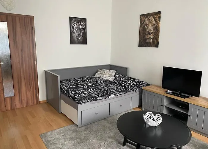 černý Tulipán - 1 Plzeň