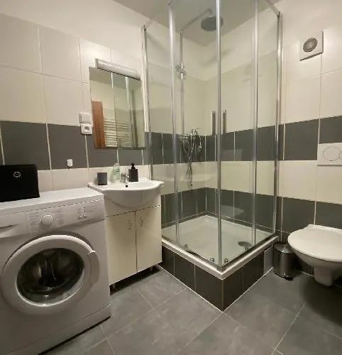 černý Tulipán - 1 * Plzeň