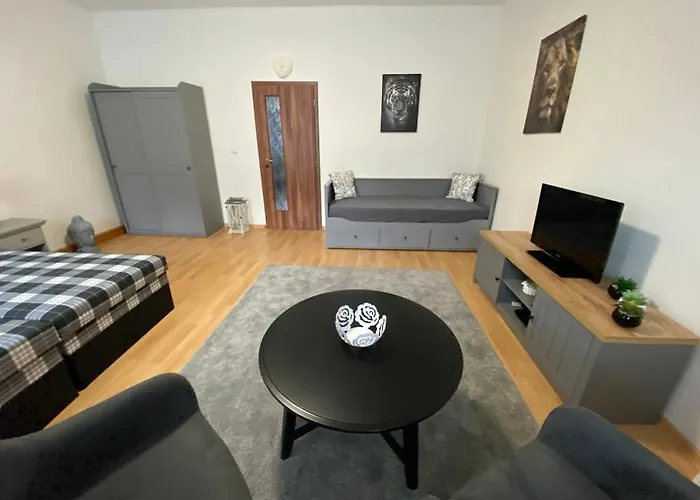 Apartamento černý Tulipán - 1 Plzeň
