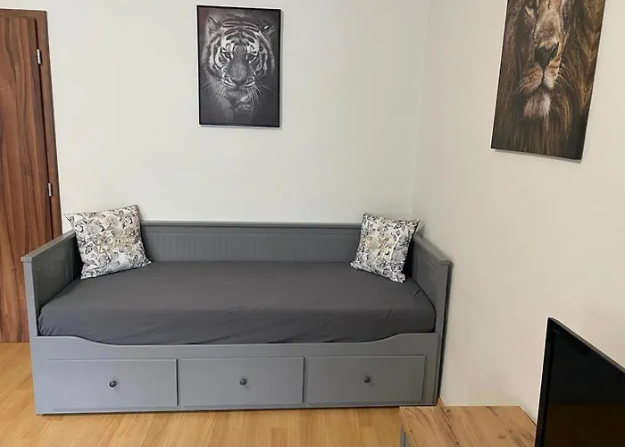 černý Tulipán - 1 *