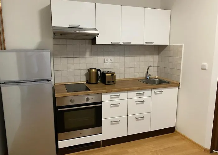 černý Tulipán - 1 Plzeň