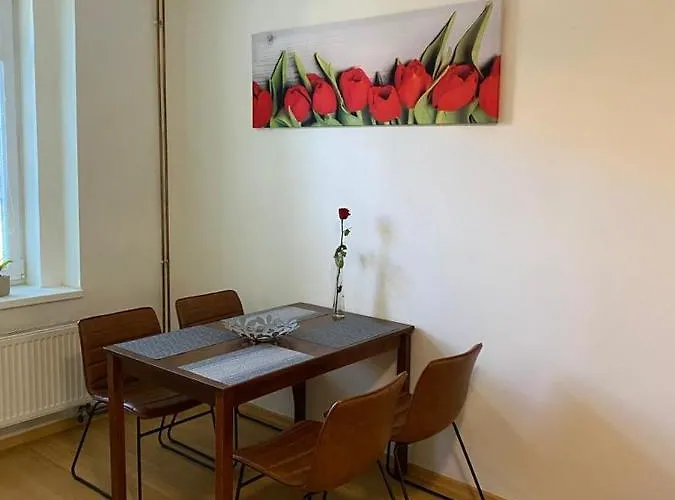 černý Tulipán - 1 Plzeň