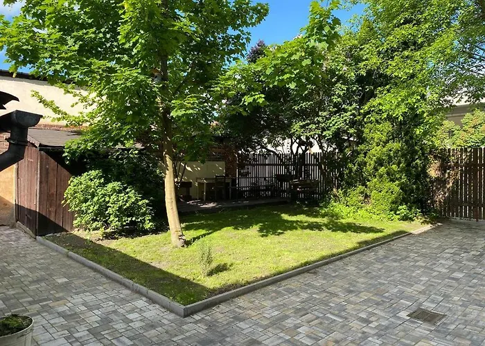 černý Tulipán - 1