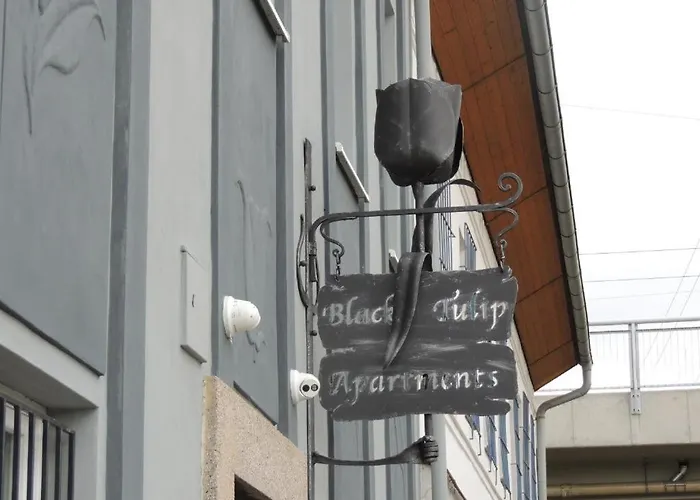 černý Tulipán - 1 *