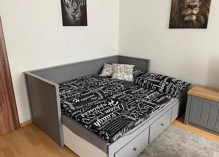 černý Tulipán - 1 * Plzeň