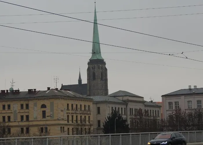 Apartamento černý Tulipán - 1 Plzeň