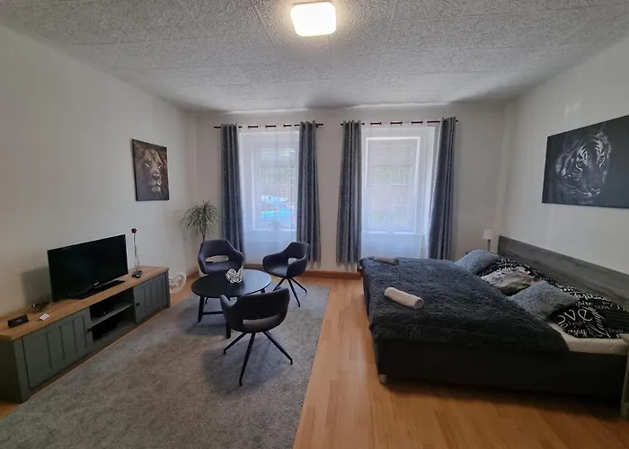 černý Tulipán - 1 Plzeň