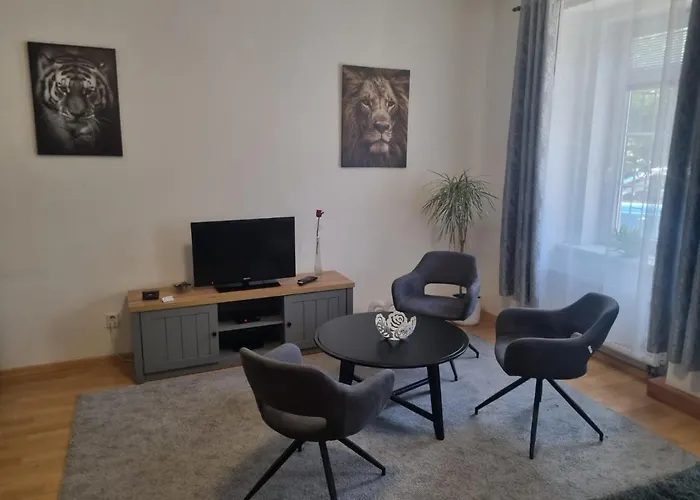 černý Tulipán - 1