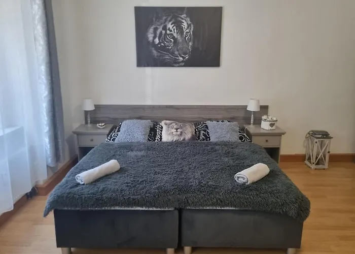 Apartamento černý Tulipán - 1 *